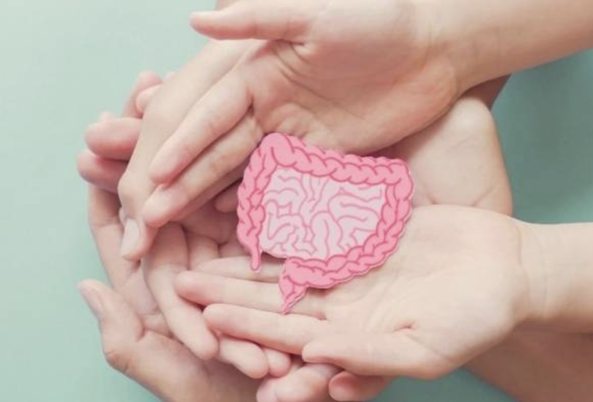 Изображение нездоровой пищи, вредной для микробиома