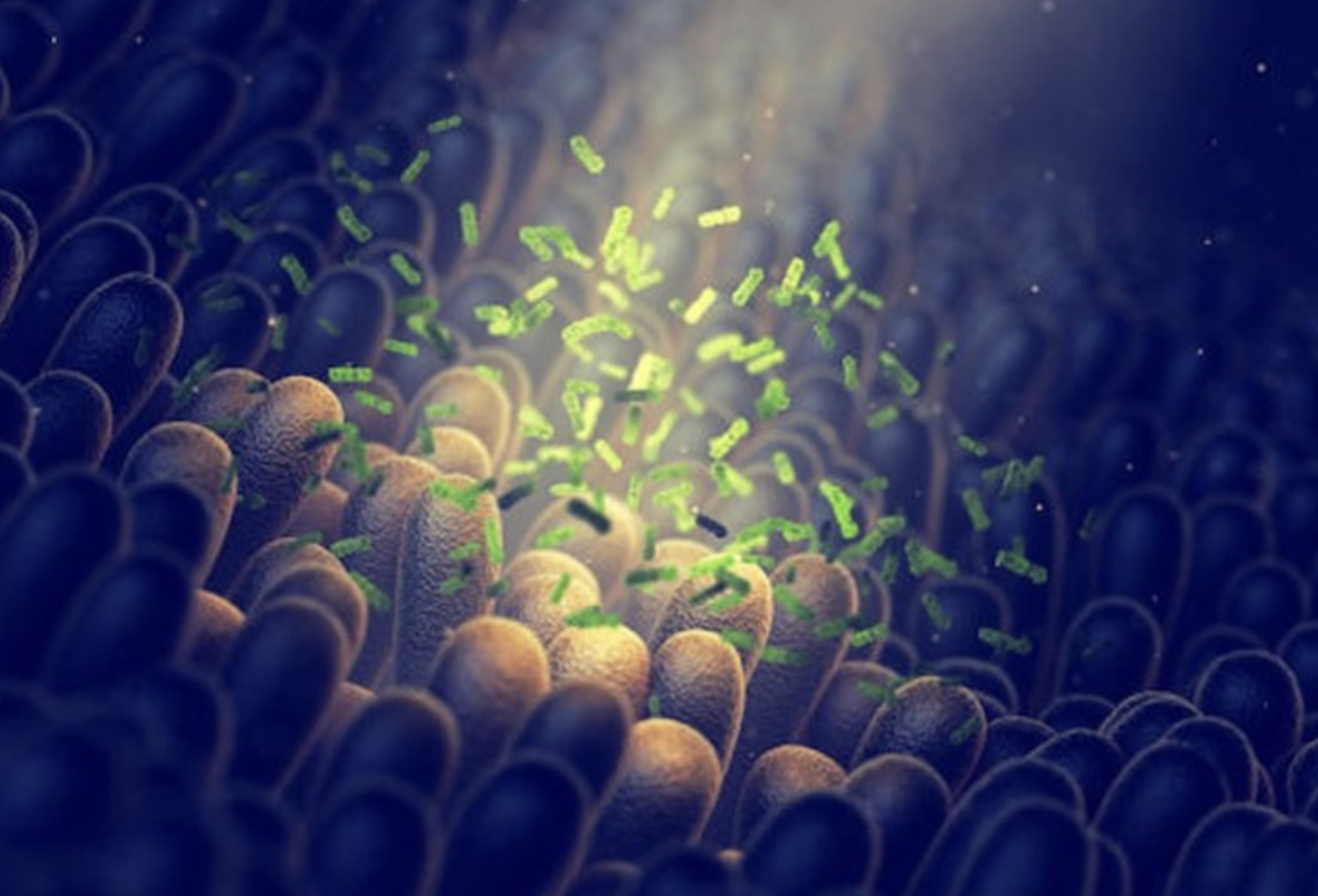 Абстрактное изображение микроорганизмов в кишечнике